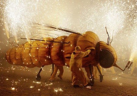葡萄酒节日