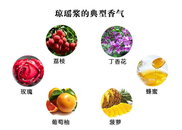 芳香葡萄品种